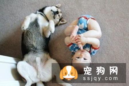 为救爱犬小男孩摆摊卖玩具 狗狗比任何玩具都要重要！