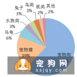 宠物市场越来越好，未来的宠物种类都有哪些？