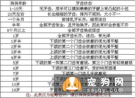 汪星人冷知识丨狗狗年龄对照表