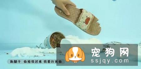 最伤的7种养狗方式，你做过几种？