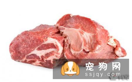 宠物衰老都有哪些症状，应该怎么养护？