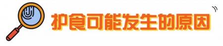 狗狗护食行为跟主人有很大的关系，应该如何改善？