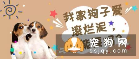 歪头杀,笑颜杀和打滚杀并称小狐狸精狗的三大绝技!