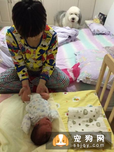 怀孕期间还能养狗狗吗？