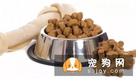在冬天养狗，有哪些事情不能对狗狗做？
