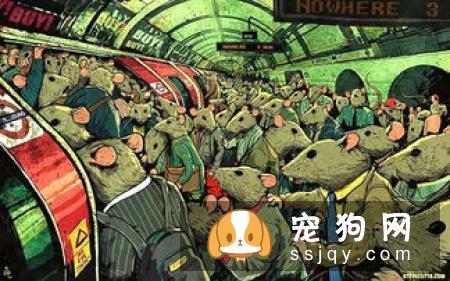 人类养宠物的本质是什么？