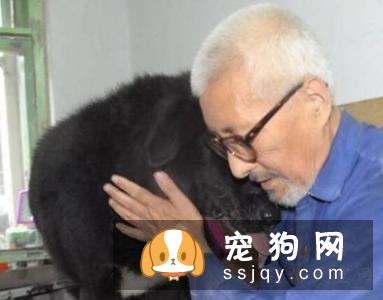 为什么有些人认为：善待宠物的人一定对父母不孝顺？