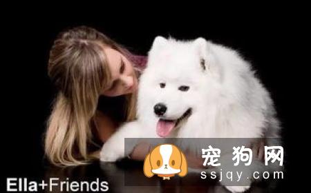 个子大招谁惹谁了?铲屎官大升级,打造养宠新模式!