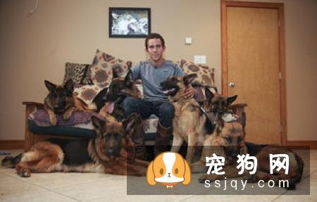 怎么训练狗狗不乱舔东西的方法，训练狗狗不乱吃东西