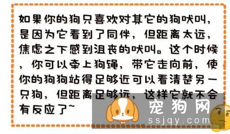 好吓人！我的狗为什么总是冲着空地叫！？