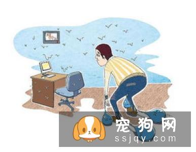 这个季节，爱宠反复腹泻怎么办？
