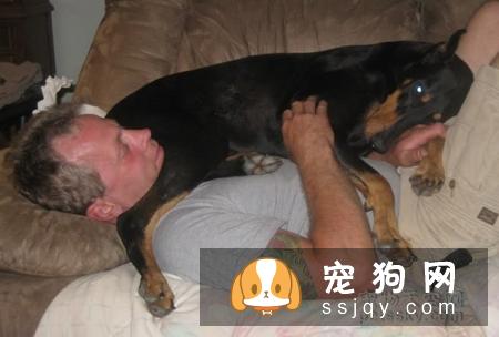 养狗前和养狗后会有什么变化？