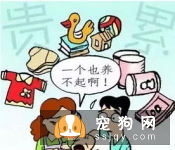 宠物主人对宠物进行安乐死,需要付出很大的勇气,请善待那些小生命。