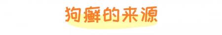 狗癣、过敏、叮咬等皮肤病,专挑皮肤防御力最低的夏季出来!