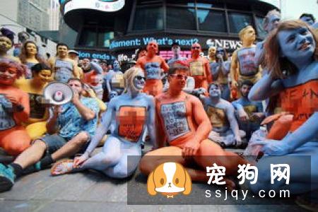人类养宠物的本质是什么？