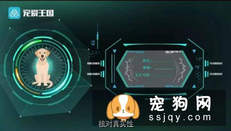 想买纯种犬太难,总是被狗贩子坑?CKU为狗狗打造了五大神器