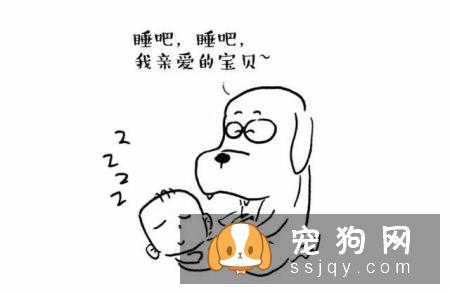 主人怀孕后，就不能养狗狗和猫咪了吗？
