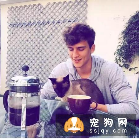为什么养猫的男生值得交往？