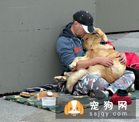 辟谣：我家宠物吃非常贵的宠粮，住得也不错，它很幸福！