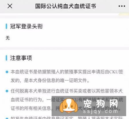 想买纯种犬太难,总是被狗贩子坑?CKU为狗狗打造了五大神器