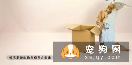 最伤的7种养狗方式，你做过几种？