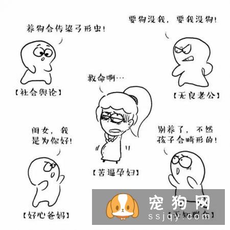 主人怀孕后，就不能养狗狗和猫咪了吗？