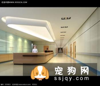 宠物医院怎么给室内环境消毒？