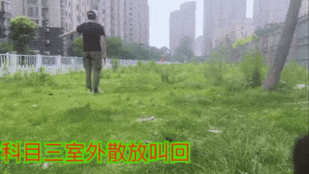 个子大招谁惹谁了?铲屎官大升级,打造养宠新模式!