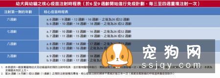 狗狗打什么疫苗？狗狗接种疫苗的年龄和流程