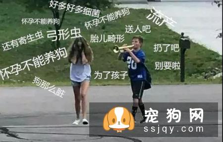 养狗的十个谣言，你听过几个？