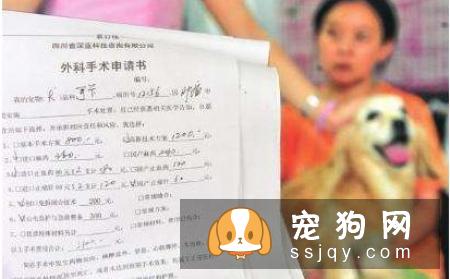 不适合养狗狗的人有哪些？