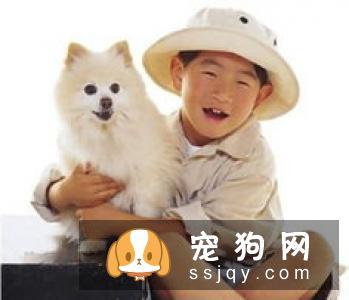 秋冬季节宠物换毛期，宠物店应该注意什么？
