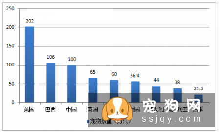 宠物市场越来越好，未来的宠物种类都有哪些？