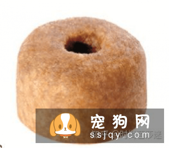 学会怎么科学喂养， 你的拉布拉多离赛级犬不远了