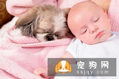 宠物天空推荐:给狗狗和猫咪打全疫苗,养宠是一种责任,请善待那些小生命