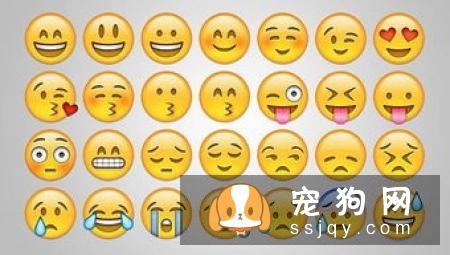 正常掉毛No季节性换毛春夏季3至11月是宠物正常换毛季