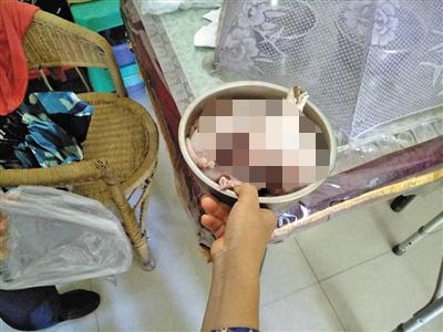你怎么看待那些吃掉邻居宠物的人？