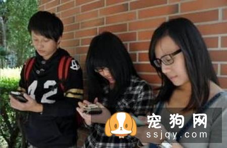 狗狗眼睛有红血丝是什么原因，应该怎么做?