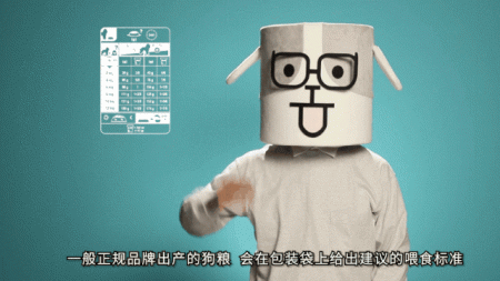 狗狗每天吃几顿才科学呢？