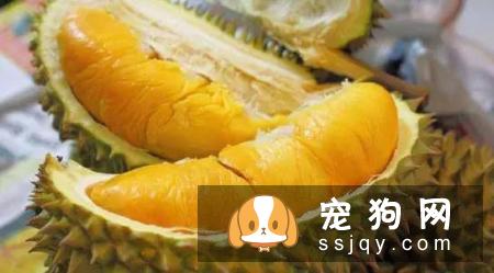 狗狗讨厌哪些味道么?宠仔圈社交电商平台,你中了几招!
