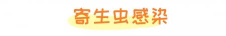 狗癣、过敏、叮咬等皮肤病,专挑皮肤防御力最低的夏季出来!