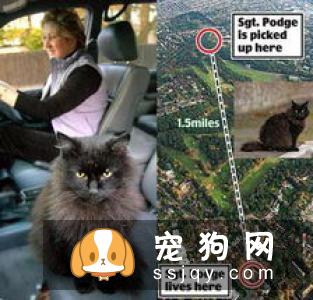 辟谣：我家宠物吃非常贵的宠粮，住得也不错，它很幸福！