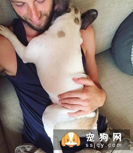 狗狗兴奋过度总是扑人，该如何纠正狗狗扑人呢？