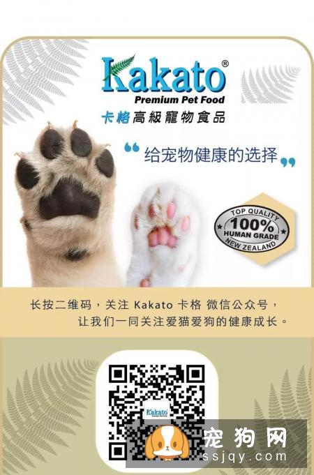 宠物的肥胖2017年6月美国连锁兽医院BanfieldHet