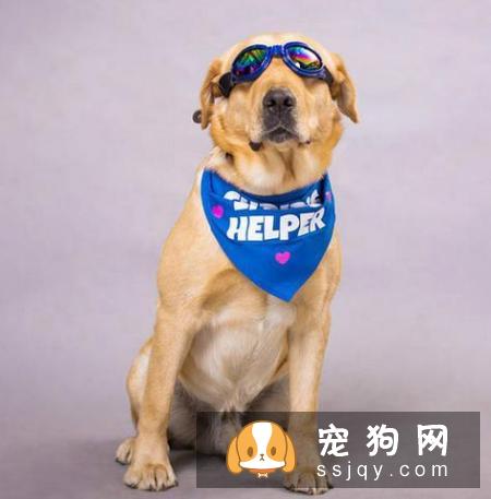 不适合养狗狗的人有哪些？