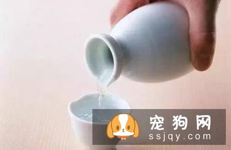 狗狗讨厌哪些味道么?宠仔圈社交电商平台,你中了几招!