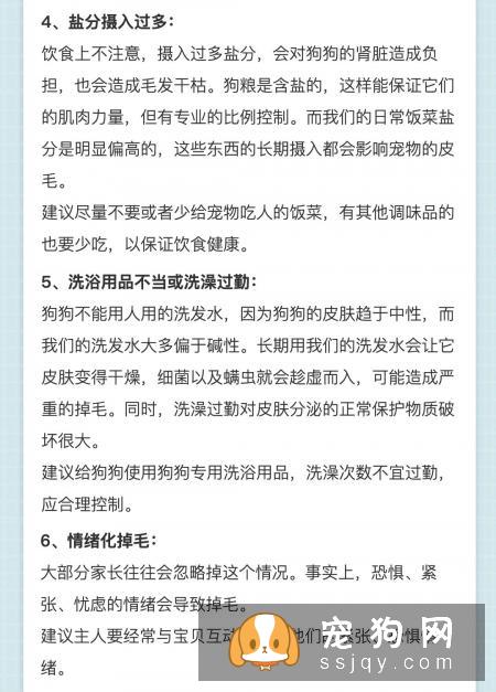 狗狗掉毛的六大原因与建议