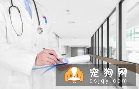 宠物医院怎么给室内环境消毒？