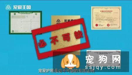 想买纯种犬太难,总是被狗贩子坑?CKU为狗狗打造了五大神器