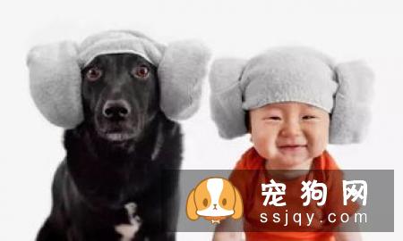 狗狗在怀孕期间应该如何照顾